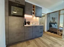 Dachsteinblick Haus im Ennstal - 5 min to Schladming - Sauna - Free Parking