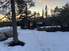 Retreat ved Spa hotell med Ski in & out, Norefjell, villa sa Surteberg