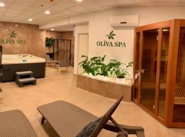 Plaza Hotel Gyula, hotellia, jossa on porealtaita kohteessa Gyula