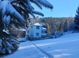 Ferienhaus Rosemarie Erlbach Vogtland, hotel in Erlbach