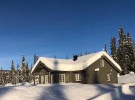 Modern and cozy cabin near ski slopes