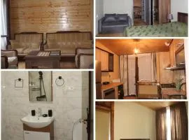 Family hotel in Racha Manilo-Manilo საოჯახო სასტუმრო რაჭაში