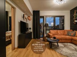 Ski Chalet C9 Ski-in Ski-out by Aavalevi, hotel en Levi