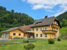 Apartment Gabraunerhof