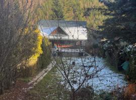Ujsoły Chill House w Beskidach, Beskid Żywiecki, hotel u gradu 'Ujsoły'