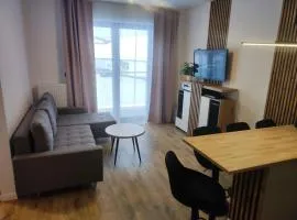 Apartament Bieszczady