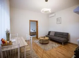 Modern Residence with Courtyard