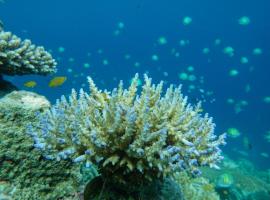 Ombar Guest House, hotel a Minyaifuin