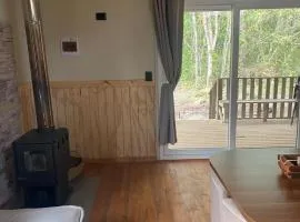 La Camelia Aldea Molco