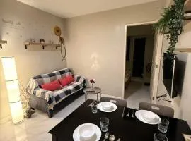 1BR Condo with balcony near MOA,Parqal,Solaire
