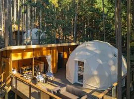 エメラルドの森