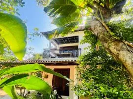 Sigiriya Arecanut Garden