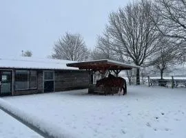 Equi Guidance Studio