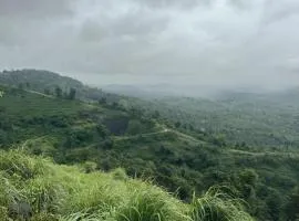 Banasura Wayanad
