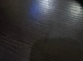 Celebrity meet and greet