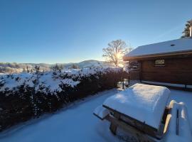 Chalet Les Jonquilles, hotel v destinácii La Bresse