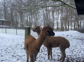 Grutsk op 12, hotel en Drachten