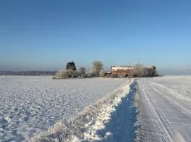 Vierseitenhof Hasenfelde - Ferienwohnung Feldblick