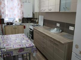 Apartments for rent near Coresi Shopping, hotel di Braşov