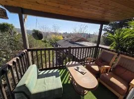 בין עצי הדובדבן - צימר 2 - נחל עיון