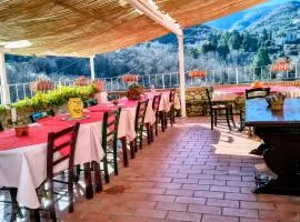 德爾帕帕農家樂