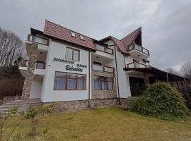 Belvedere GreșuLepșa, hotell i Greşu