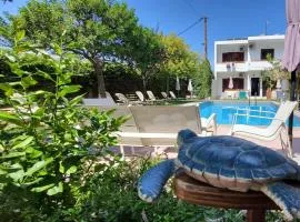 Tree of Life Art Hotel