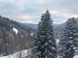 Résidence Le Chitelet, Hotel in La Bresse