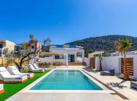 Villa Envy by Villa Plus