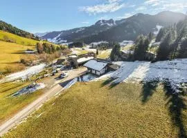 ZuHaus Gruab - Dog Friendly Tyrolean Apartment with fireplace Wildshönau Premiumcard