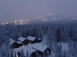 Exclusive Nordic Cabin Resort - 5 New Cottages on One Private Propert - Sleeps 40