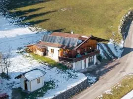 Cozy Tyrolean Home Quiet View and Dogs Welcome