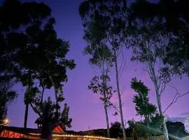 Las Orquídeas EcoHostel