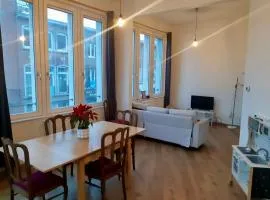 vue imprenable sur l'Escaut et le pont de fer