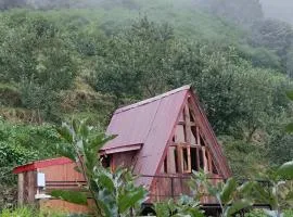 The Prism House
