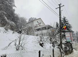 Pensiunea Alpina, hotel na praia em Malaia