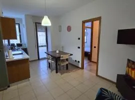 Bella Vita Stays Lucky