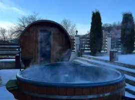 Pensiunea Lavinia Daniel