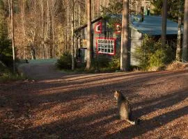Fairy tales on the forest lake
