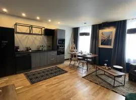 Grand Appartement Hyper Centre