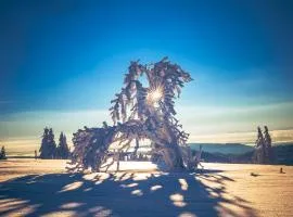 FEWO zum gscheiten Beck mit Garten