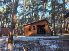 Domek Dzięcioł, hotel din Bocheniec