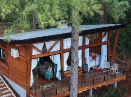 Chalé Encanto dos Pinheiros