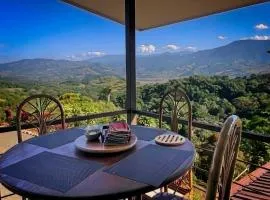 Luxury In The Jungle