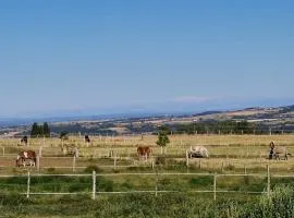 Duplex calme, vue chevaux et montagnes