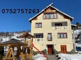 Pensiunea Lavinia Daniel