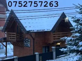 Cabana Lavinia Daniel