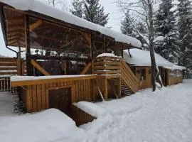 Casuta Cerbului Colibita