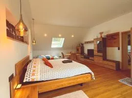 Maison d'hôtes en pleine nature avec chevaux