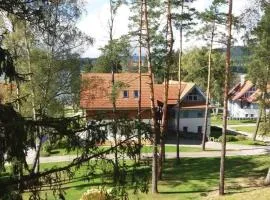 Apartment Riviera 13 Lipno